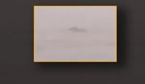 publive-image