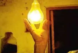 publive-image