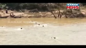 publive-image