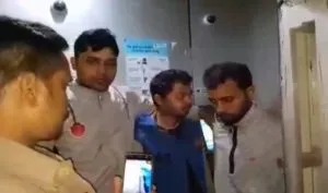 publive-image