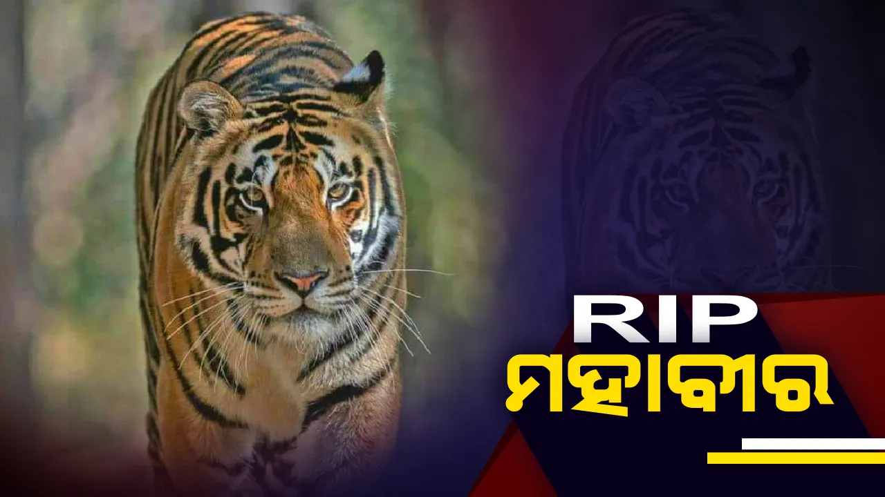 MAHABIR