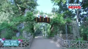 similipal
