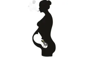 publive-image