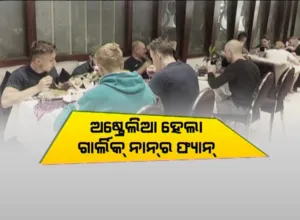publive-image