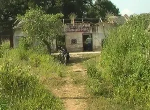 publive-image