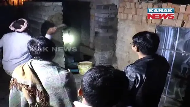 publive-image