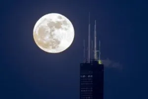 publive-image