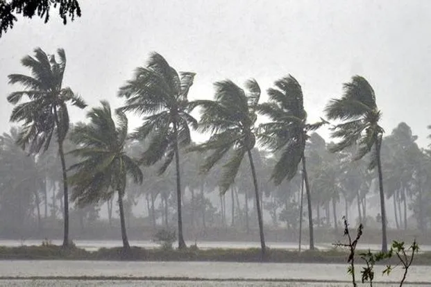 Cyclone Petha