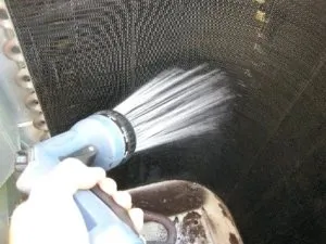 publive-image