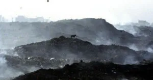 publive-image