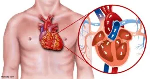 publive-image