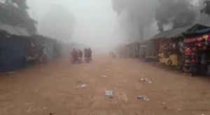 publive-image
