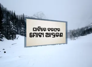 publive-image