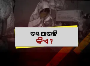 publive-image