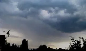 publive-image