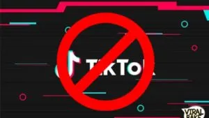 publive-image