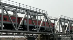 publive-image