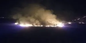 publive-image