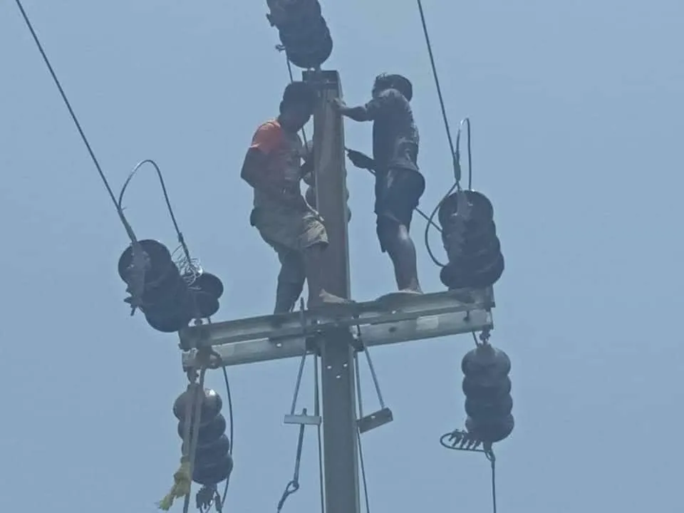 publive-image
