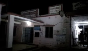 publive-image
