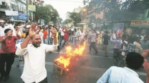 publive-image