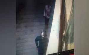 publive-image