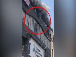 publive-image