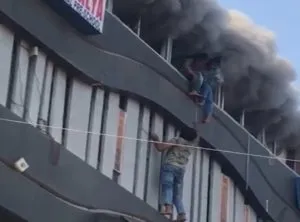 publive-image