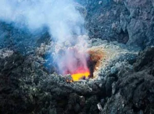 publive-image