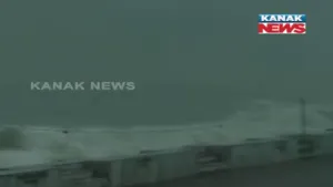 publive-image
