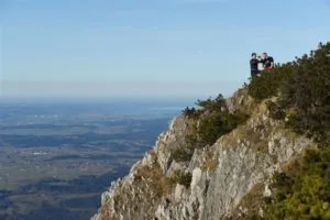 publive-image