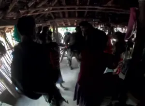 publive-image