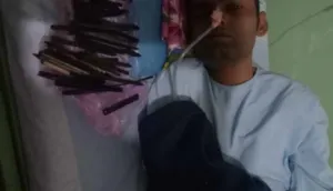 publive-image