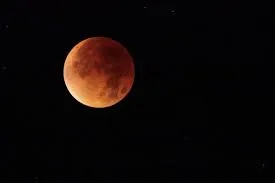 publive-image