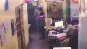 publive-image