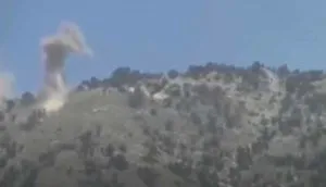 publive-image