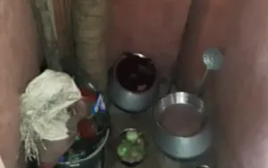 publive-image