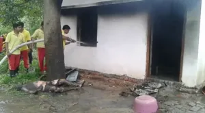publive-image