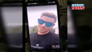 publive-image