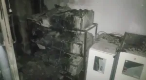 publive-image