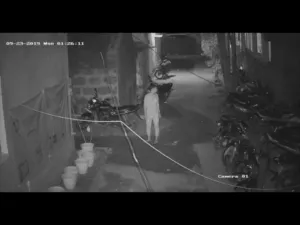 publive-image