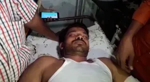 publive-image