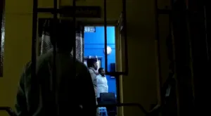 publive-image