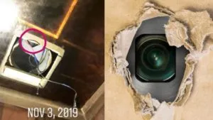 publive-image