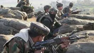 publive-image