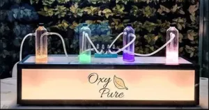 publive-image