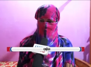 publive-image