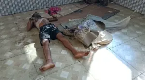 publive-image