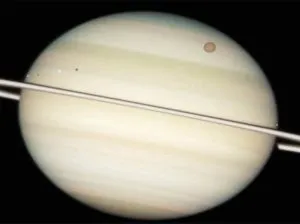 publive-image
