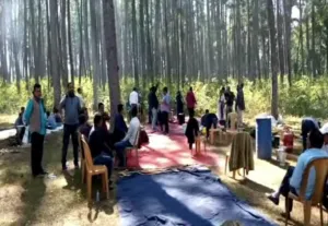 publive-image